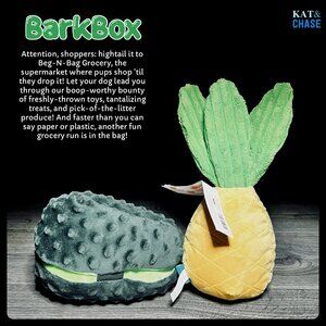 NWT Barkbox Beg-N-Bag Grocery Arfocado & Pineyapple Dog Toy Plush Squeaker M/L